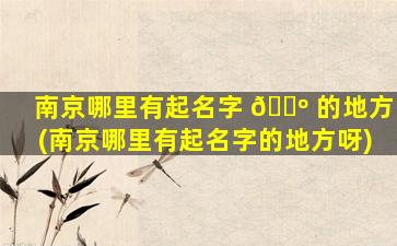 南京哪里有起名字 🌺 的地方(南京哪里有起名字的地方呀)